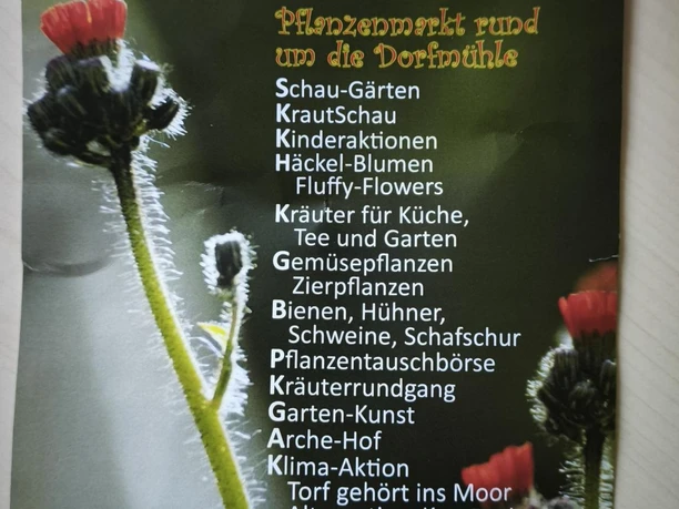 GartenZeit in Willingshausen