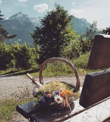Kräuterwanderung zur Tannenhütte