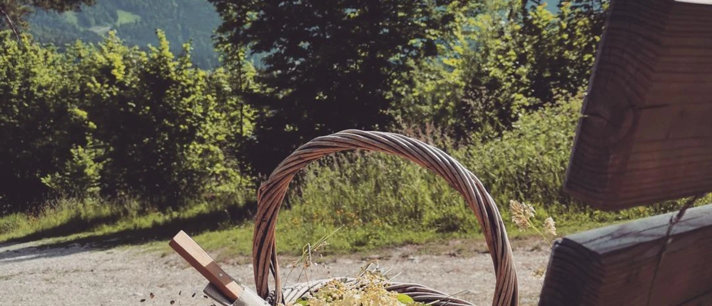 Kräuterwanderung zur Tannenhütte