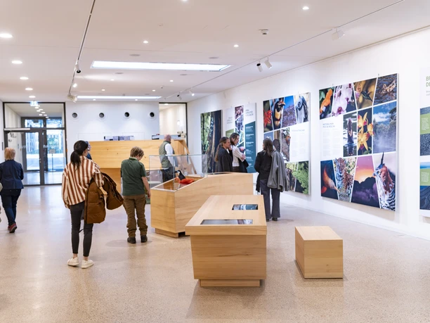 Wechselausstellung in der Galerie des Nationalparkzentrums Ruhestein