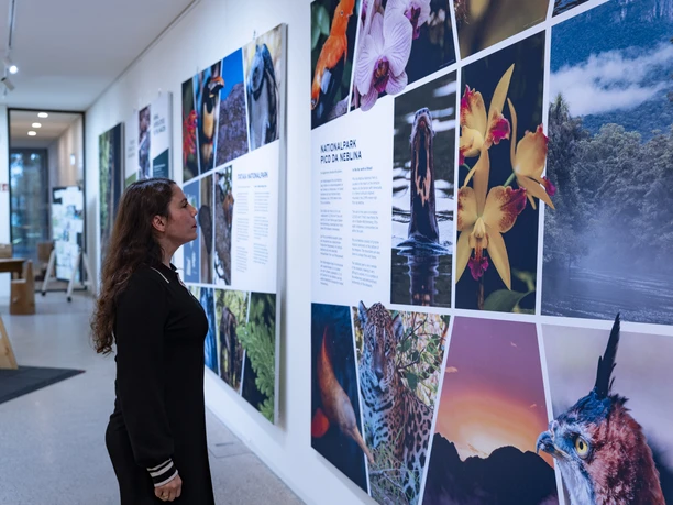 Wechselausstellung in der Galerie des Nationalparkzentrums Ruhestein