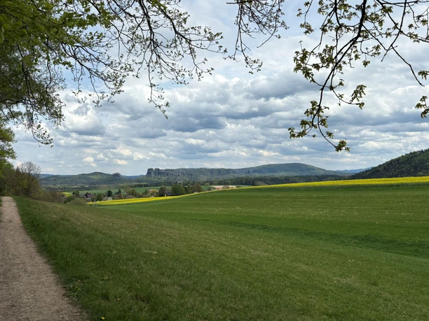 Blick zu den Schrammsteinen in Kleinhennersdorf