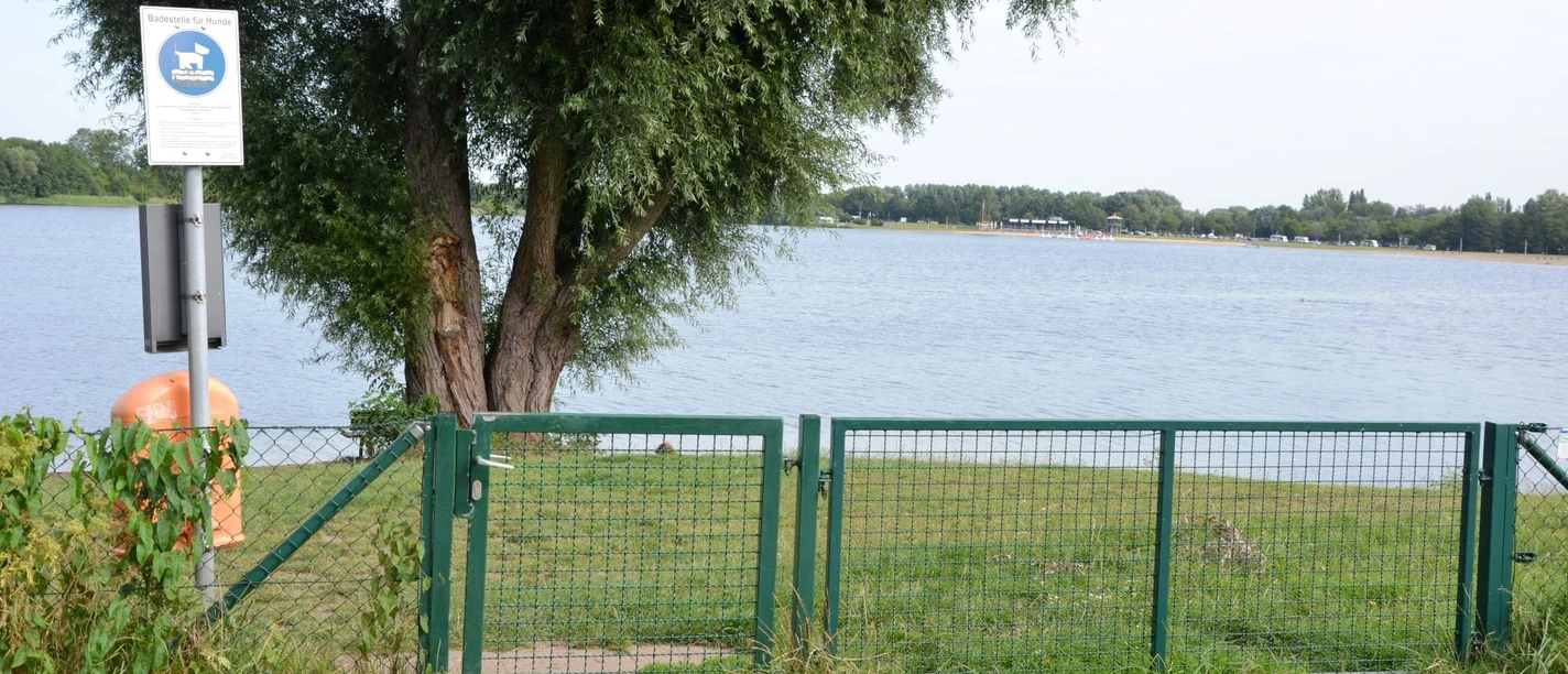 Hundebadestelle_Insel_Salzgittersee_HD_16zu9.JPG Ein grünes Tor und ein Schild markieren den Zugang zur Hundebadestelle am Salzgittersee.