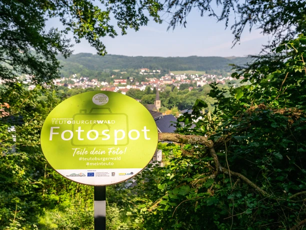 Bad Driburg-Buddenberg Arboretum-Teutoburger-Wald-Bad-Driburger-Touristik-GmbH Fotospot-Schild im Buddenberg Arboretum mit Blick über Bad Driburg und die Iburg.