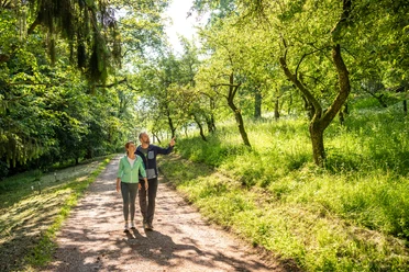 Spaziergänger im Baumpark Buddenberg-Arboretum in Bad Driburg entdecken den heimischen sowie exotischen Baumbestand.Â