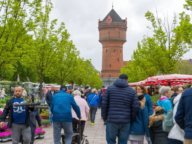 S7579 (c) Helmut Gross_Erlebnis Bremerhaven_WEB.jpg Trubel auf dem Wochenmarkt Geestemünde