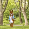 WF-Ostefest.jpg Ein Mensch im Osterhasen-Kostüm geht über eine Wiese mit Bäumen. Er trägt einen kleinen Korb.
