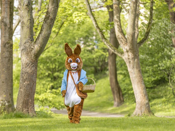 WF-Ostefest.jpg Ein Mensch im Osterhasen-Kostüm geht über eine Wiese mit Bäumen. Er trägt einen kleinen Korb.
