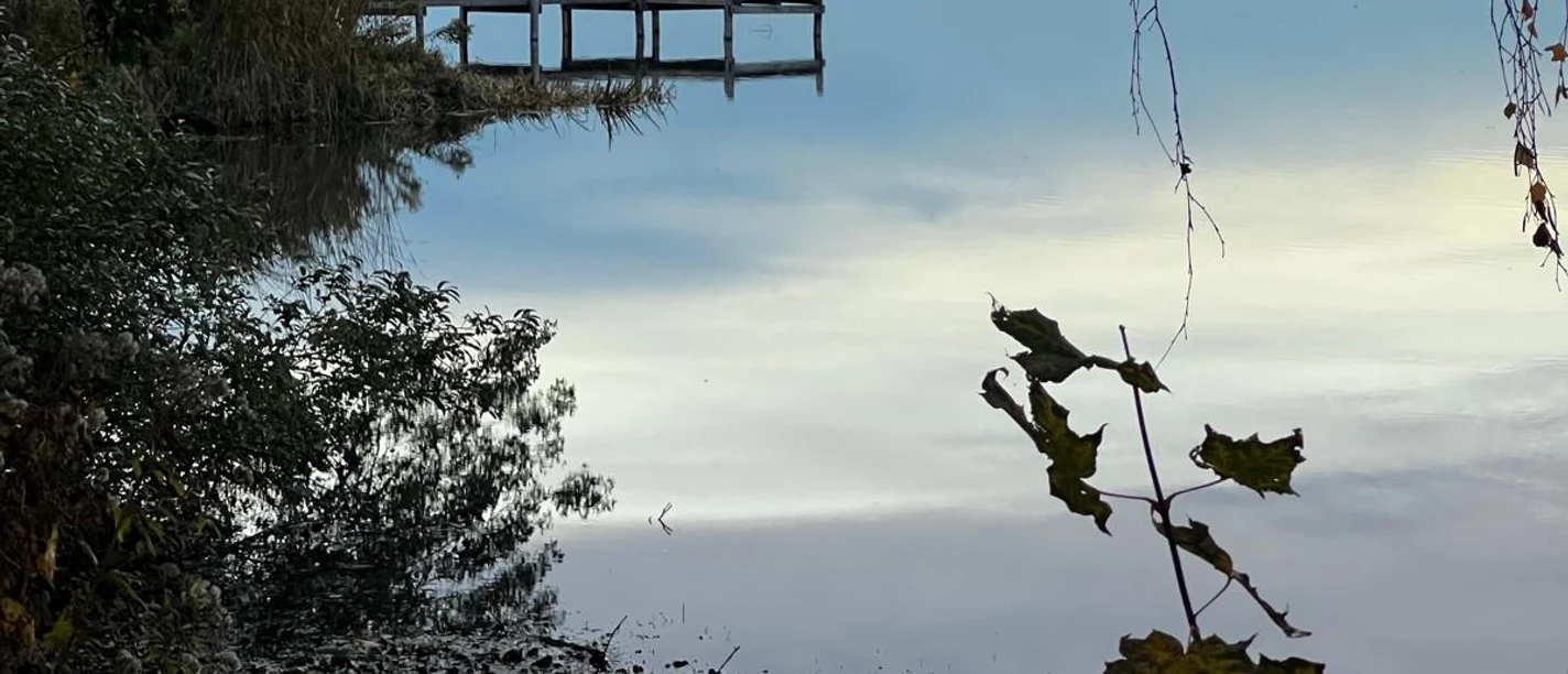 WhatsApp Image 2025-10-31 at 17.33.37.jpeg