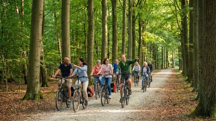 Fahrradtour durch den Rasteder Schlosspark Eine Radgruppe fährt gemeinsam auf einem breiten Weg durch einen grünen Schlosspark.
