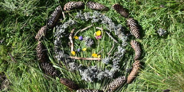 Wald- und Wiesenlabor