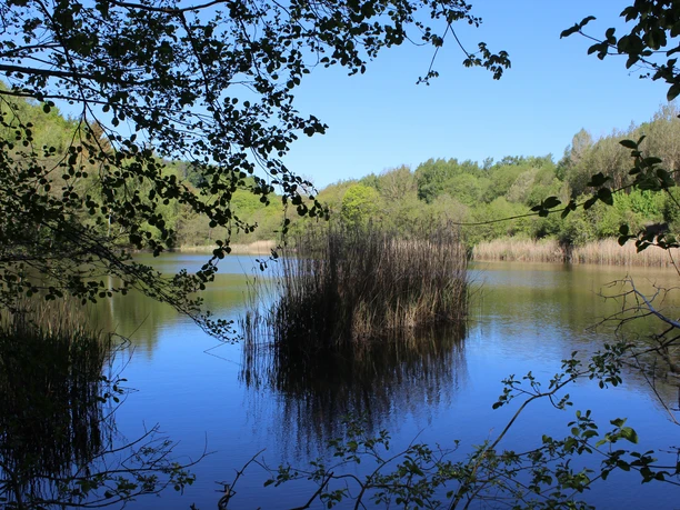Am Pontelteich