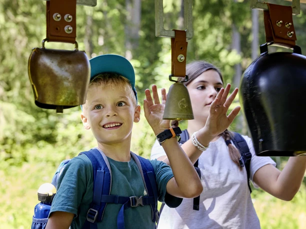 Goldi Gwundernasenweg (3)