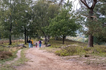 Wanderung am Boxberg