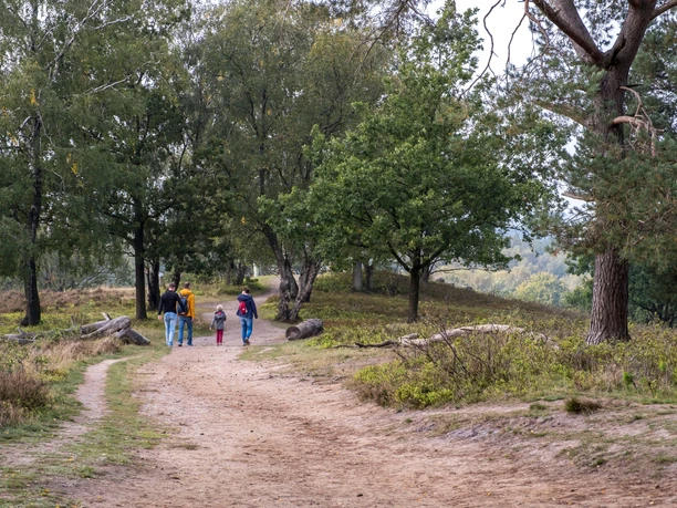 Wanderung am Boxberg