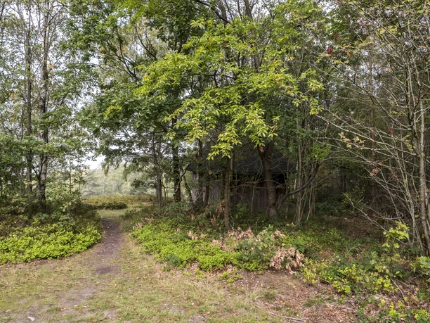 Boxberg Naturpark Aukrug