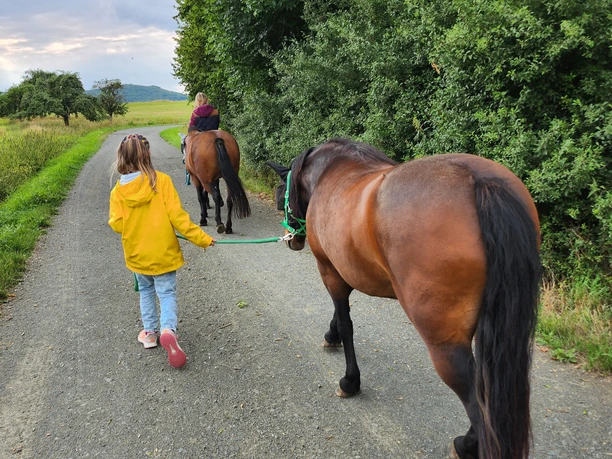 Ponyzeit für Kinder