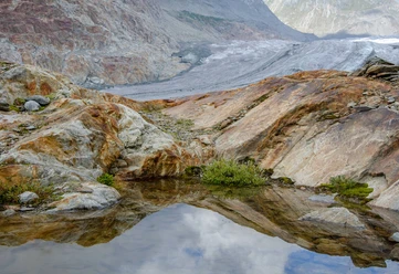 Gletscherspuren – was uns die Landschaft erzählt