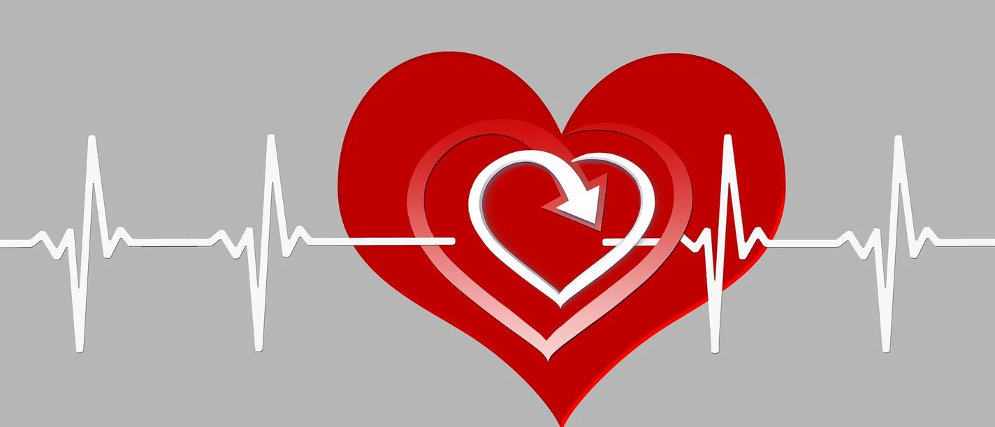 geralt-heart-3653425_1920 pixabay.jpg