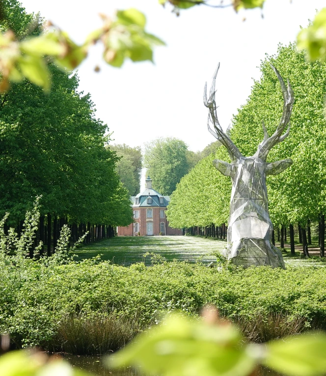 Schloss Clemenswerth, Sögel - Allee und Schlossteich ©Emsland Tourismus GmbH (8).jpg