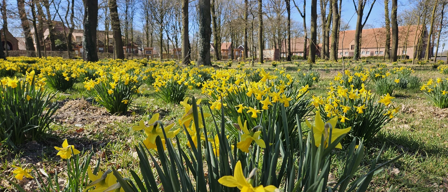 Wehmer Geschichtspfad, Werlte ©Emsland Tourismus GmbH (9).jpg
