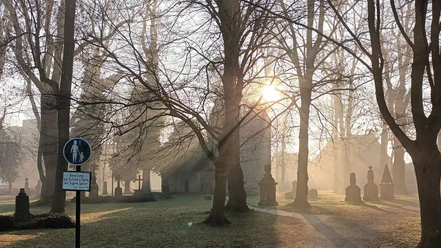 Vöppstedter Ruine (51)_HD_16zu9.jpg Sonnenlicht fällt durch kahle Bäume auf alte Grabsteine und die steinerne Vöppstedter Ruine im Nebel.