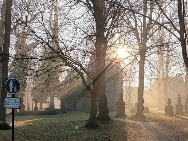 Vöppstedter Ruine (51)_HD_16zu9.jpg Sonnenlicht fällt durch kahle Bäume auf alte Grabsteine und die steinerne Vöppstedter Ruine im Nebel.