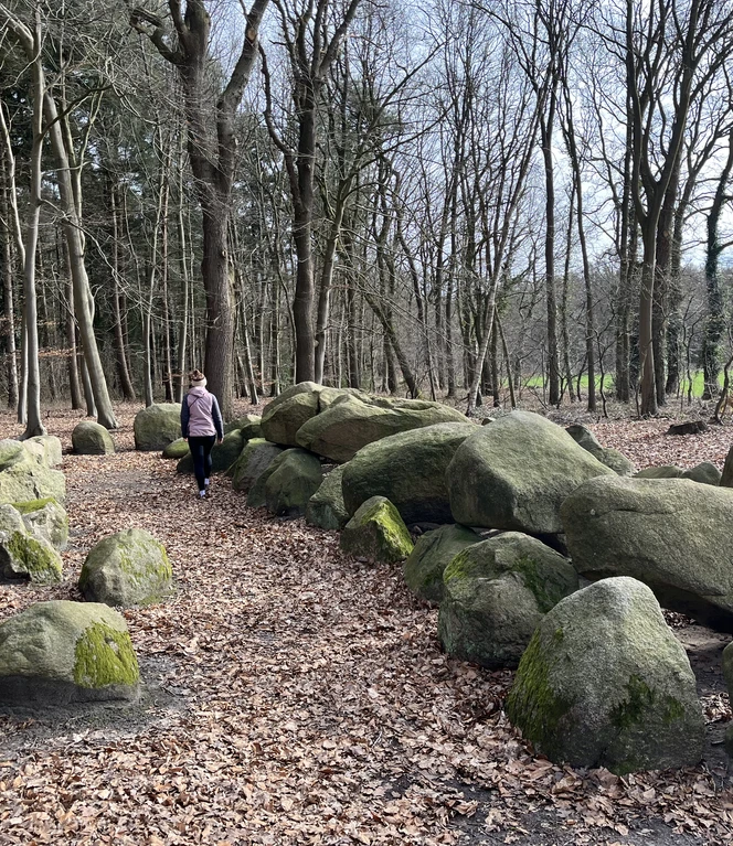 Großsteingräber rücken am Wegesrand immer wieder ins Blickfeld..jpeg
