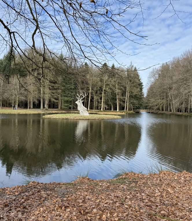 Ganz langsam erwacht die Natur aus dem Winterschlaf.jpeg
