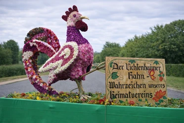 Wahrzeichen Lichtenhainer Blumenfest Großer Hahn aus Blüten mit Schild "Der Lichtenhainer Hahn Wahrzeichen unseres Heimatvereins"