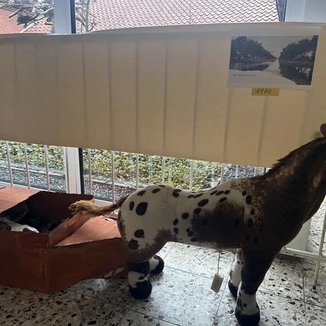 Für die Ausstellung in der Schule wurde ein Treidelboot gebastelt, das von einem Pferd gezogen wird..jpeg