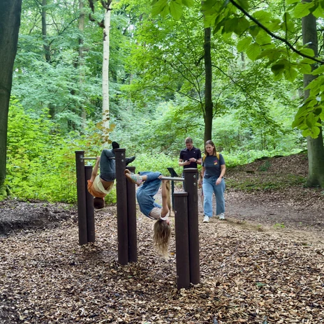 Abhängen wie Fledermäuse können Kinder im Esterfelder Forst..jpg