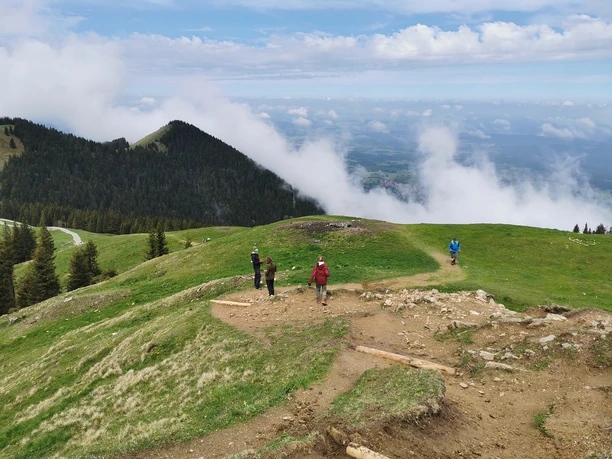 Auf guten Wegen -Wegebau Hörnle (4).jpg