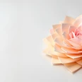 bjarstin-paper-flower-9883094.jpg