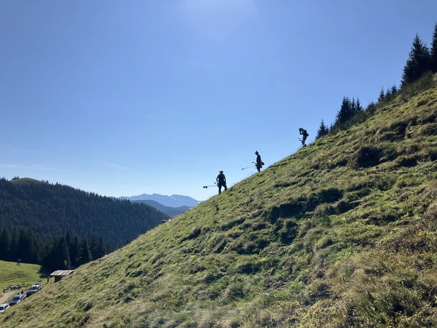 Farn runter, Kühe rauf. Alm-Weidenpflege Hörnle! (11).JPG