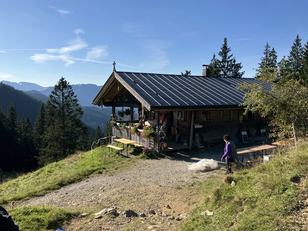 Farn runter, Kühe rauf. Alm-Weidenpflege Hörnle!