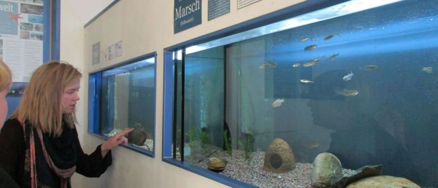 NLPH Ausstellung Lars Klein.jpg