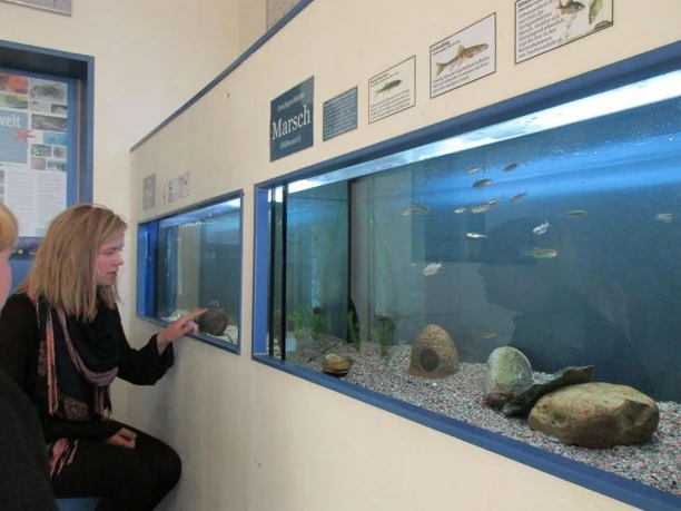 NLPH Ausstellung Lars Klein.jpg