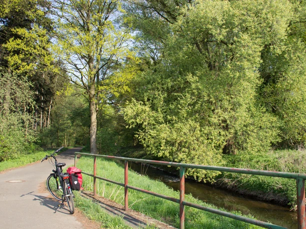 2018 Frühling Swistal