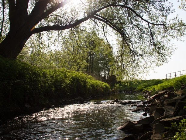 Swisttal -Swistbach 2018 Frühling Swistal