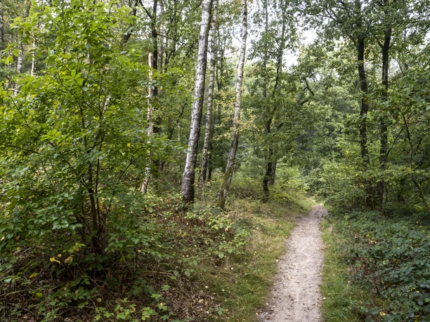 Wanderweg Boxberg Naturpark Aukrug