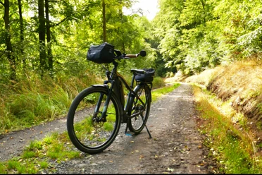 E-Bike Tour