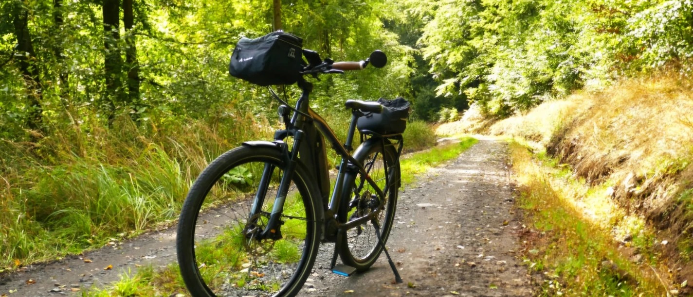 E-Bike Tour