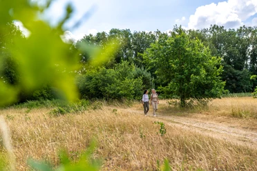 Naturpark Wanderweg in Aukrug