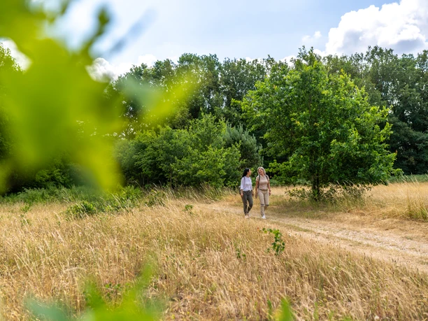 Naturpark Wanderweg in Aukrug