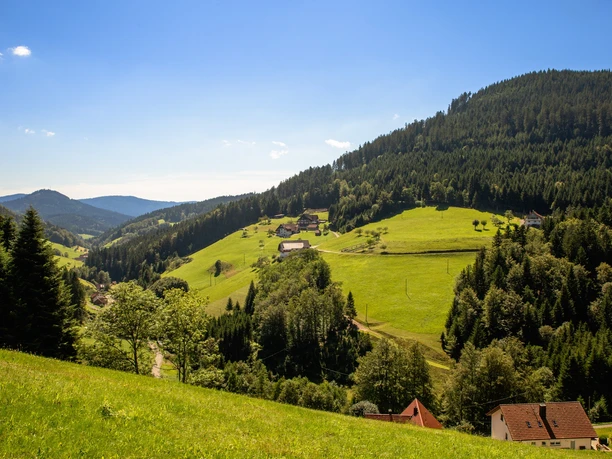 Wandern auf dem Wiesensteig, Blick über das Tal der Wilden Rench beim Höhengasthaus Herbstwasen