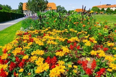 20 Jahre Gartenschau blühende Erinnerungen.jpg