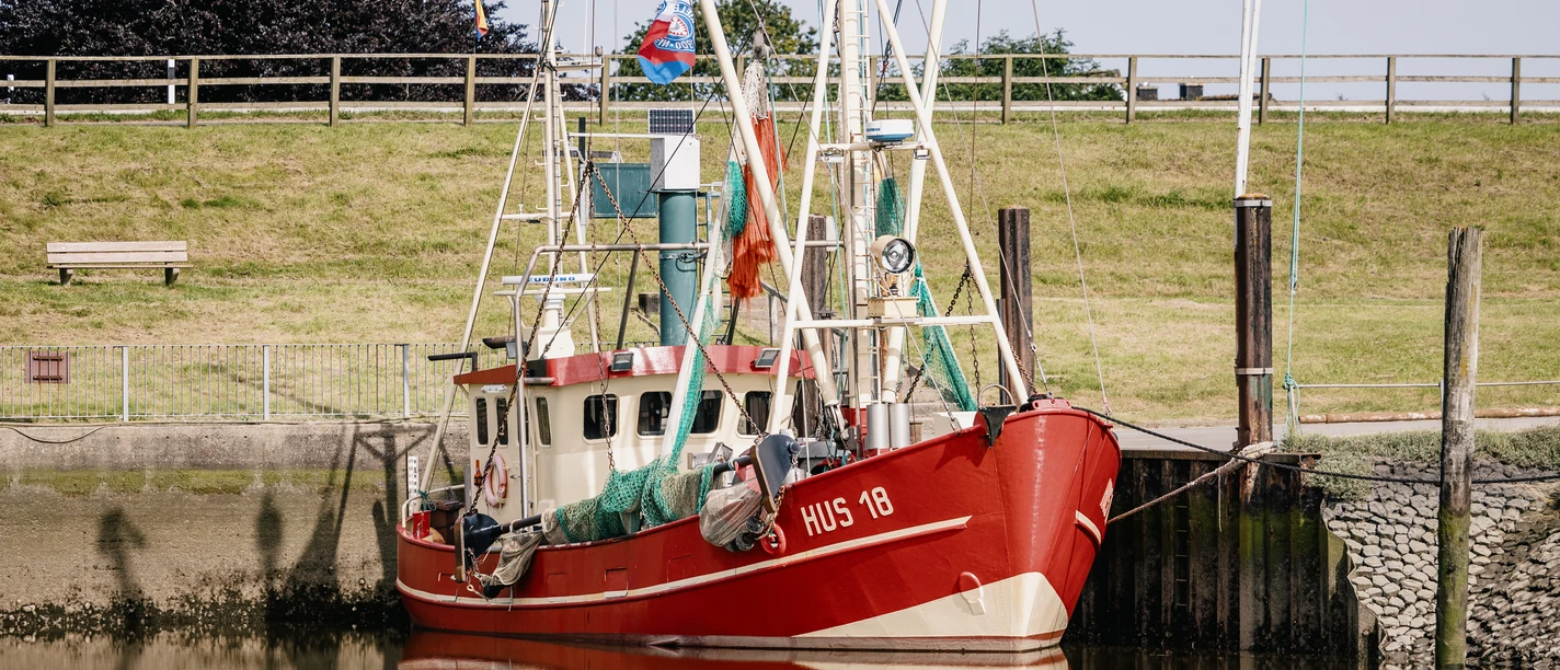 Nordfriesland_Nordstrand_MR_240620_67