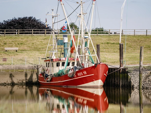 Nordfriesland_Nordstrand_MR_240620_67 Nordfriesland_Nordstrand_MR_240620_67