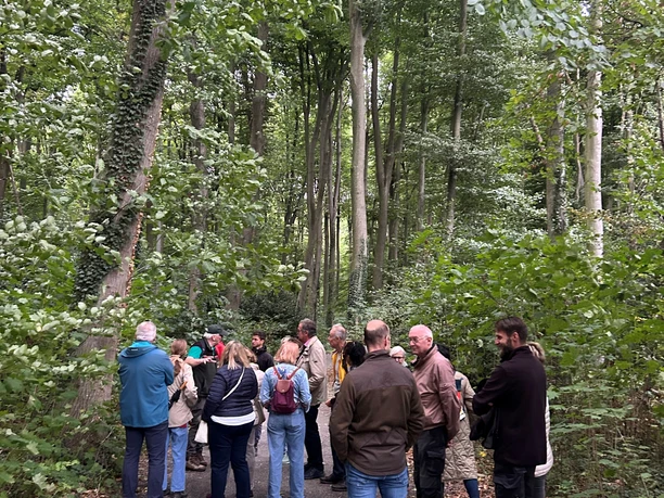 Waldbegehung Schloss Benkhausen Gruppe mit Forstleuten bei Waldbegehung auf Weg zwischen hohen Bäumen